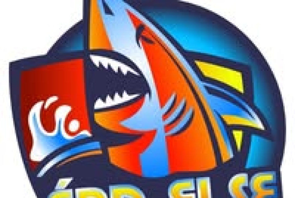 Magyar Darts Liga