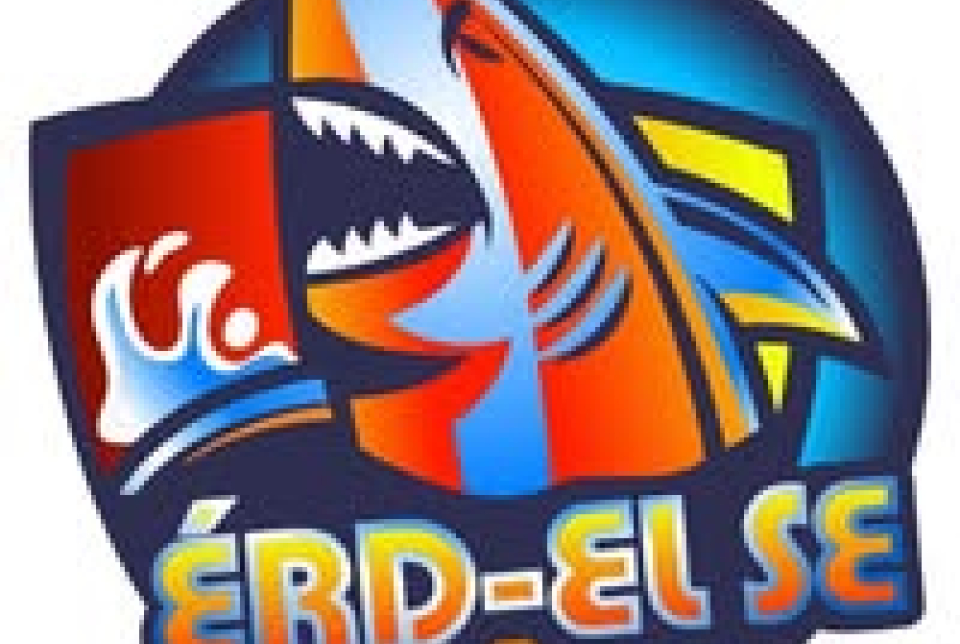 Darts verseny